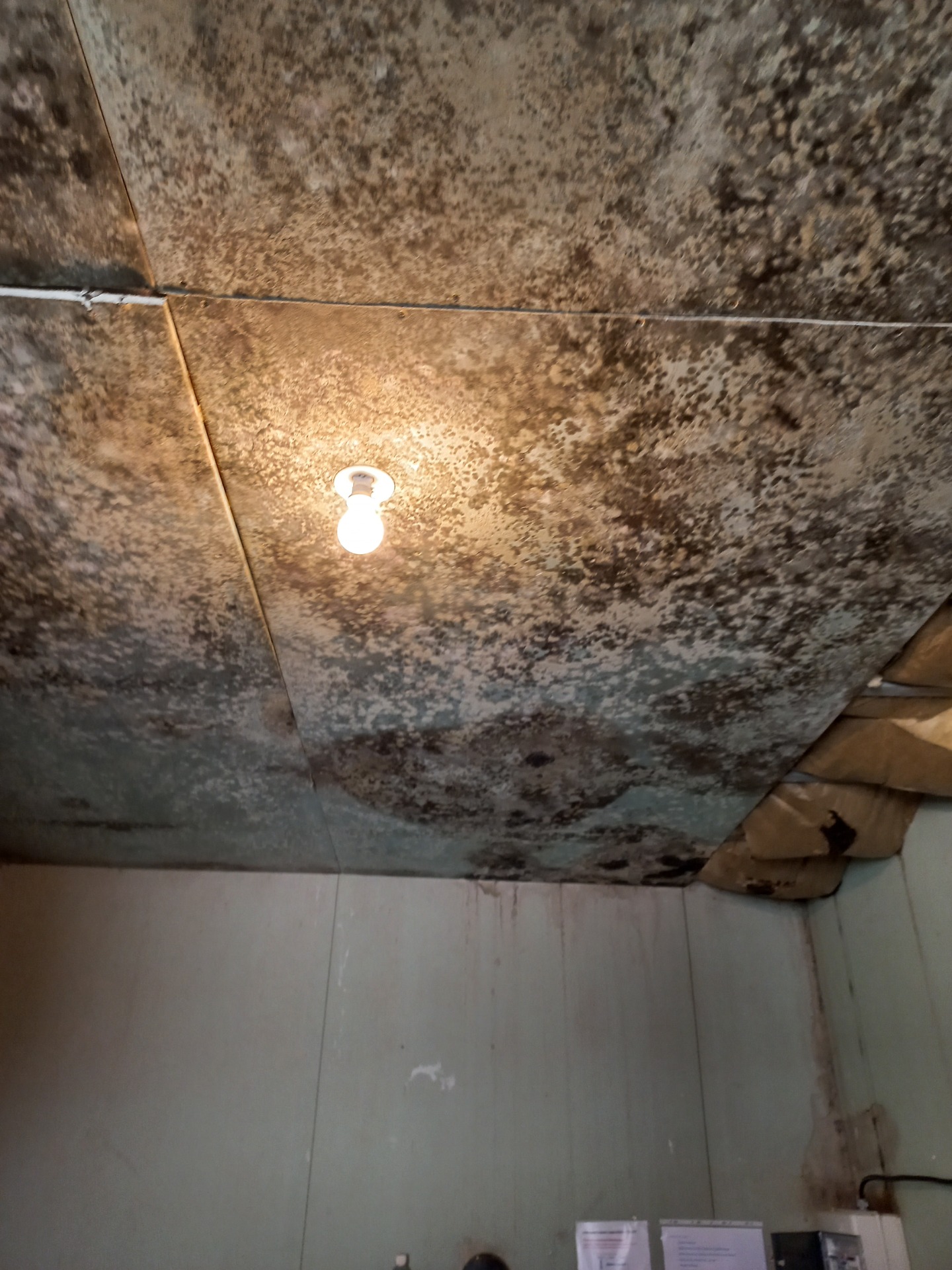 Fuite en toiture JONZAC